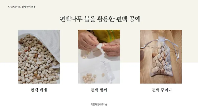 피톤치드 가득한 잣나무 숲속 무장애 데크로드