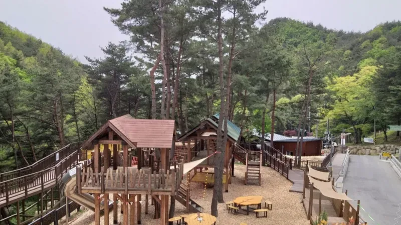 나무와 흙을 만지며 오감 발달을 돕는 친환경 어린이 숲놀이터
