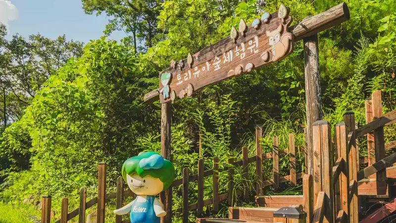 숲속 피톤치드를 온몸으로 들이마실 수 있는 산림욕 평상 쉼터