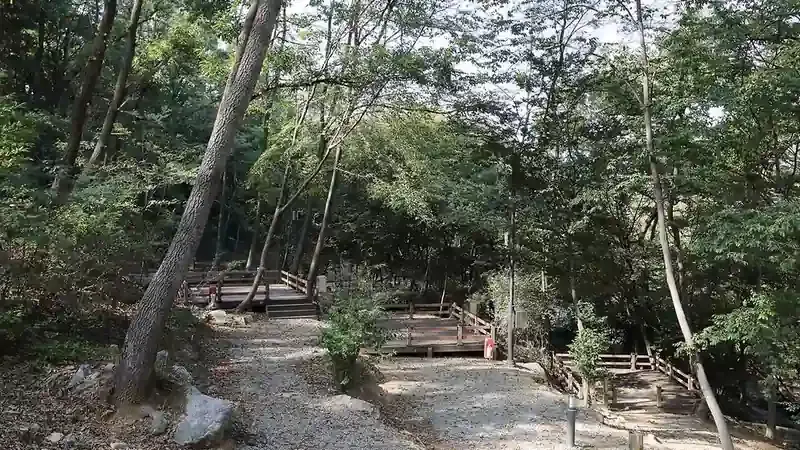 자연휴양림 숲속의 집과 연계된 숲속 힐링 산책로 및 휴양림 전경