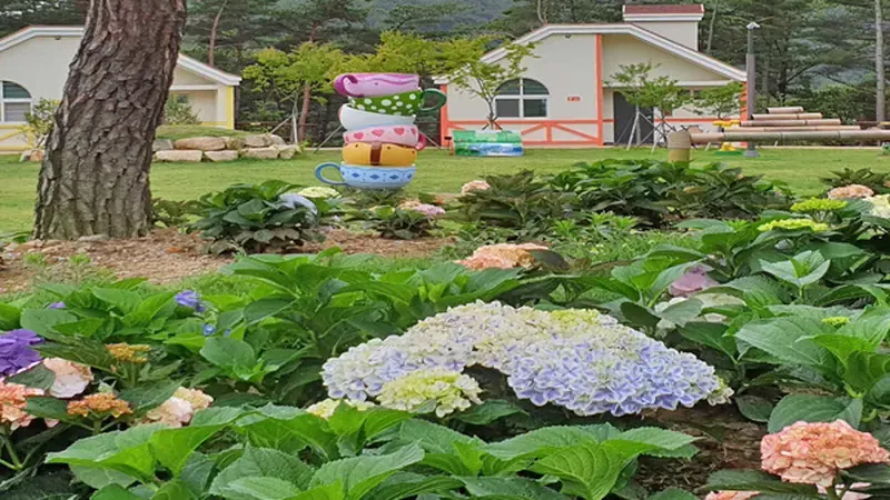 유모차도 편안하게 산책할 수 있는 무장애 나눔 데크로드