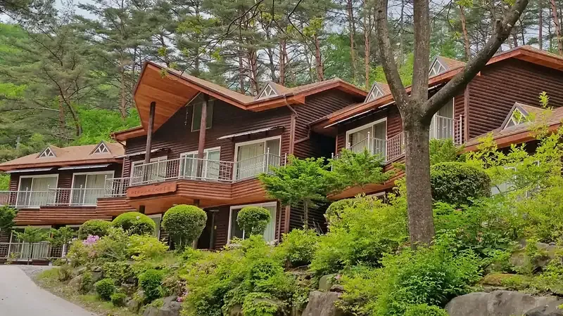 원시림 피톤치드를 호흡하며 걷는 가리왕산 숲길 산책로