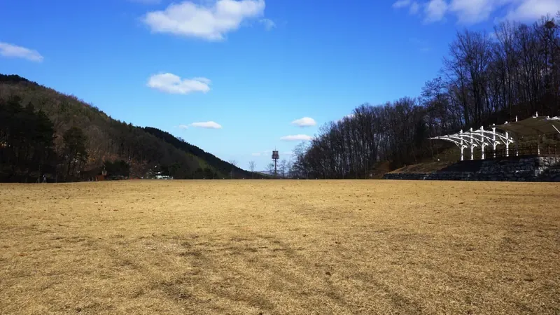 상당산성 성곽과 연결되는 피톤치드 숲산책로