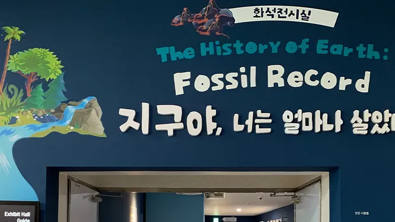 1관 2층 고생대 삼엽충부터 중생대 암모나이트까지 전시된 실물 화석실