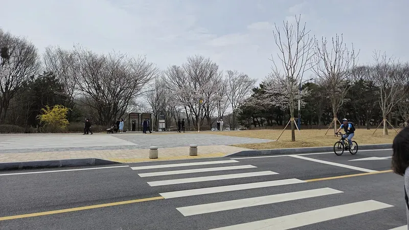 인천대공원 정문 보행 광장 및 완만한 유모차 통행로