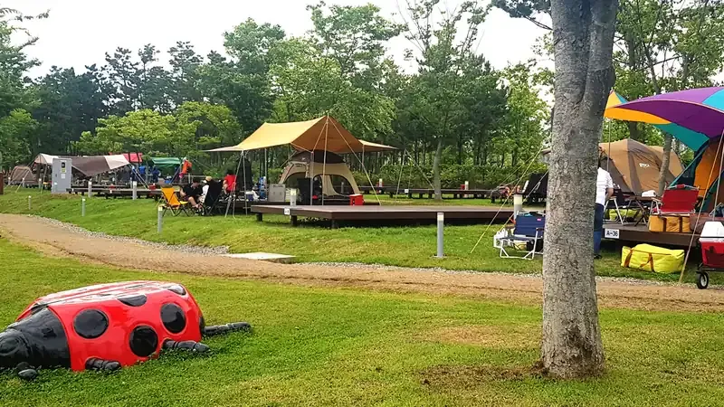 감성 글램핑 텐트 및 개별 바비큐 피크닉 테이블