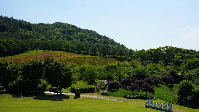 영인산수목원 입구 잔디마당 및 파고라 피크닉 쉼터