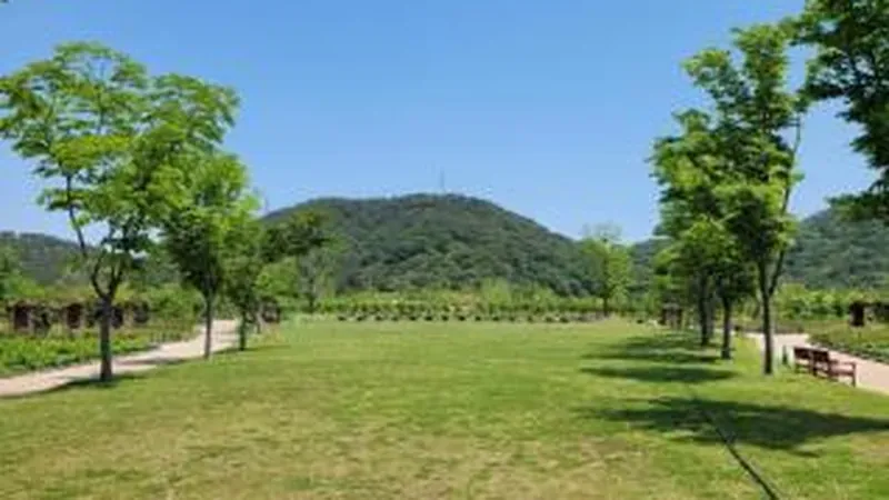 온 가족이 함께 편안한 휴식을 누릴 수 있는 넓은 잔디광장