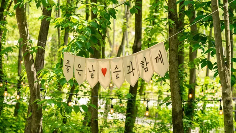 온실 내부 야자수 사이로 연결된 무장애 공중 관람 데크