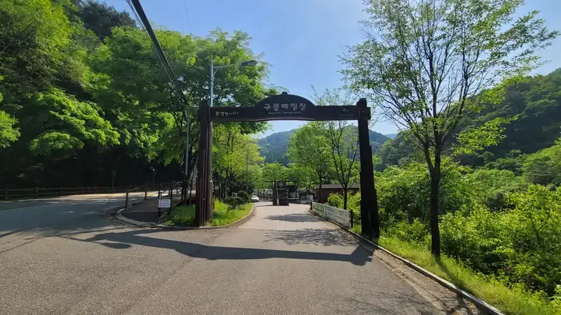 구룡사 방면으로 이어지는 피톤치드 황장목 숲길 무장애 탐방로