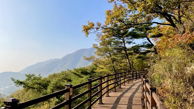 대운산 자락을 따라 이어지는 사계절 푸른 숲길