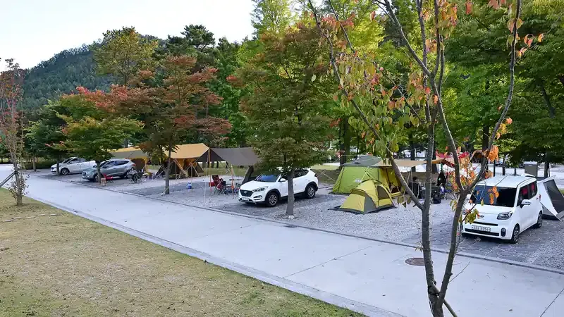 포천 비둘기낭캠핑장