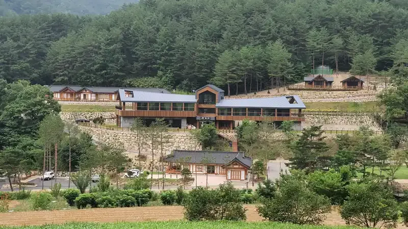 삼척 준경묘 금강소나무 군락지 활기자연휴양림 전경