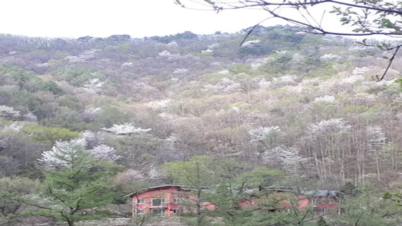 운장산 갈거계곡 원시림 속 국립운장산자연휴양림 전경