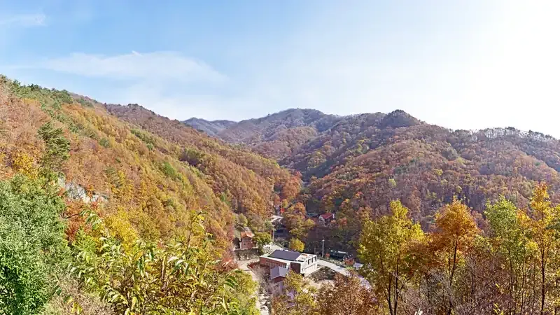 민주지산 해발 700m 청정 원시림 속 자연휴양림 전경