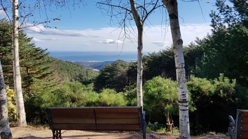 영덕 국립칠보산자연휴양림