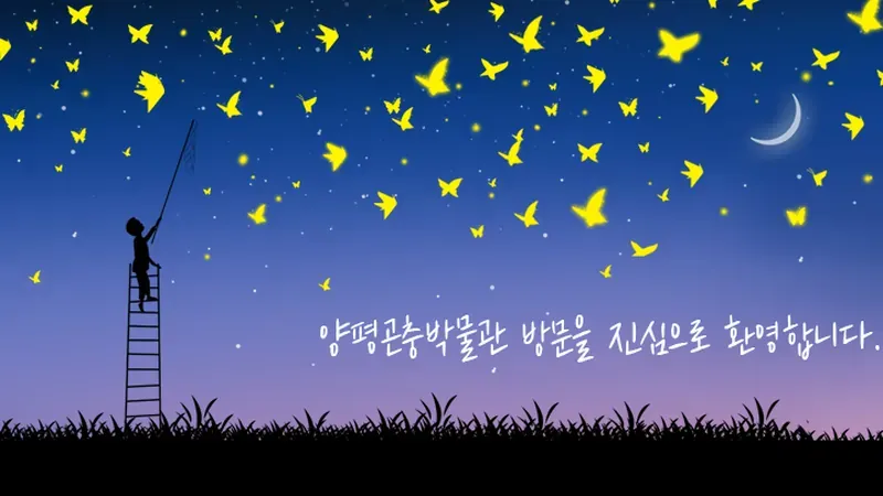 양평곤충박물관