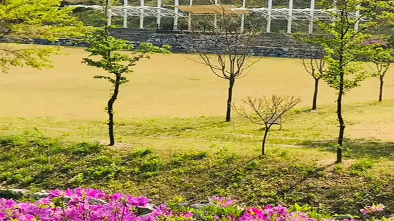청주 상당산성 자락 숲속 국립상당산성자연휴양림 전경