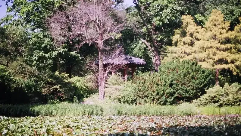 국립수목원 광릉숲