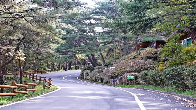 성주봉 기암괴석 아래 울창한 숲속 성주봉자연휴양림 전경