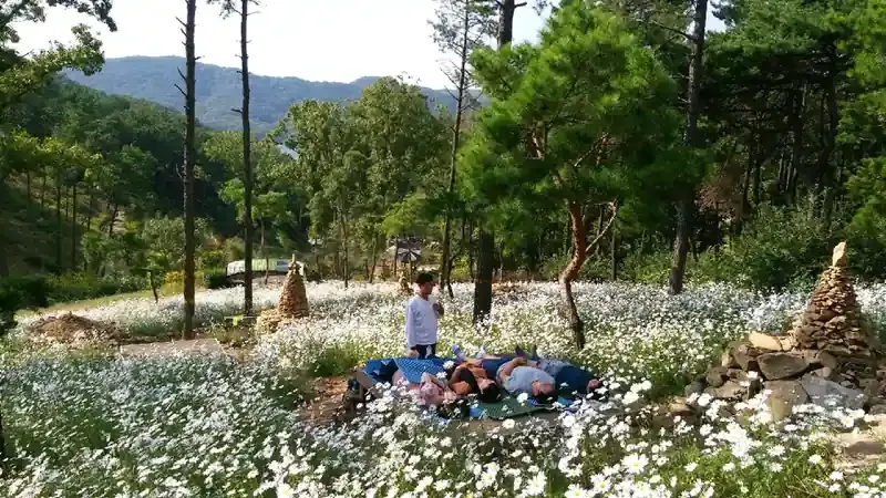 율곡수목원 파평산 자락 34ha 청정 숲 파노라마 전경