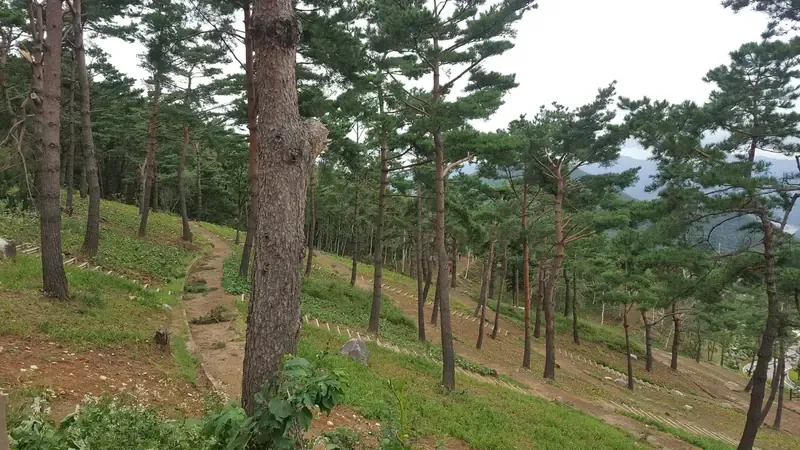 산청한방자연휴양림 & 동의보감촌