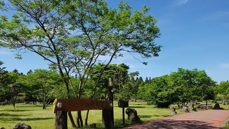 제주 붉은오름자연휴양림