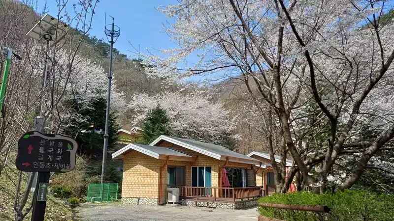 좌구산 명상구름다리와 숲속 휴양림 전경