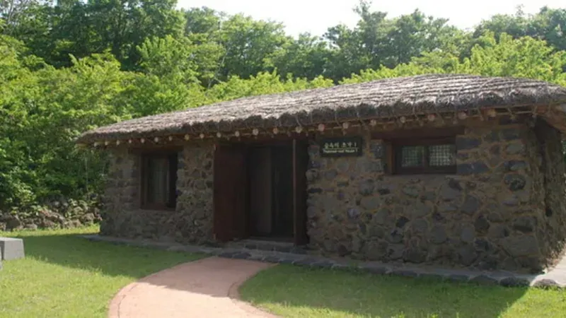 제주 곶자왈 원시림을 그대로 품은 교래자연휴양림 전경
