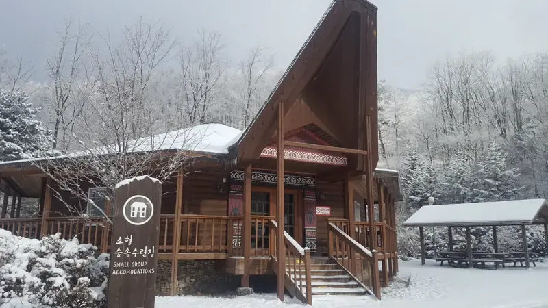 화천 산약초마을과 목재문화체험장 숲속 전경