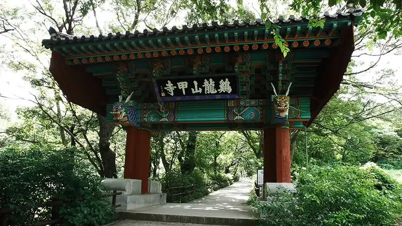 공주 주미산자연휴양림 (공주산림휴양마을)