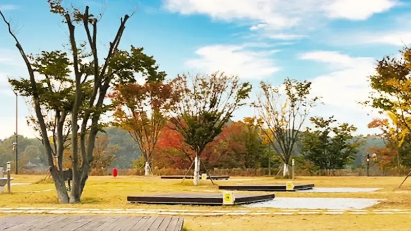 여주 금은모래캠핑장