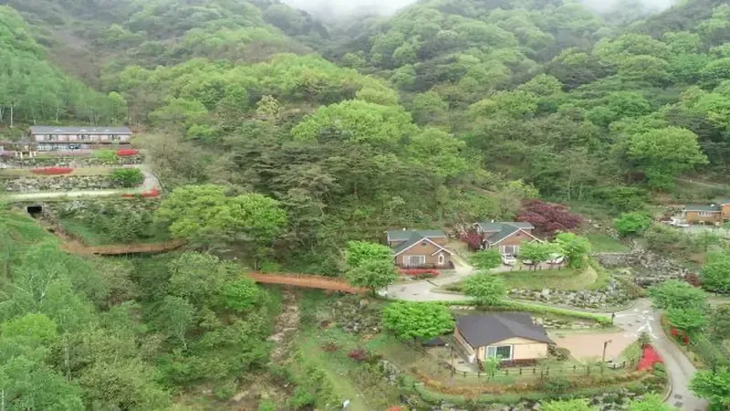 고산자연휴양림