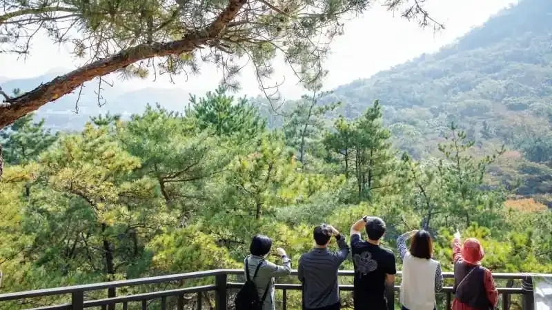 관악산 치유의 숲