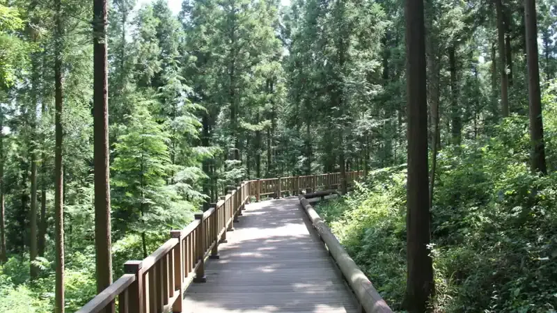 제암산 울창한 편백림과 계곡이 어우러진 휴양림 전경