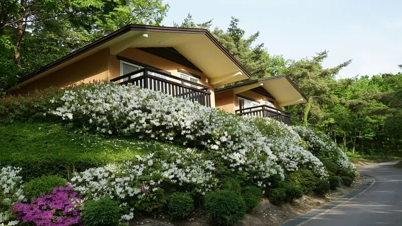 소선암자연휴양림 & 백두대간생태원