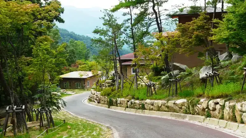 형제봉 아래 저수지와 숲이 어우러진 옥성자연휴양림 전경