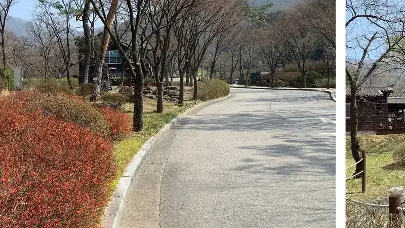 용인자연휴양림