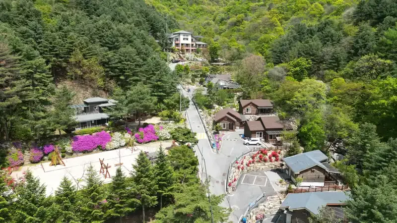 축령산 50년 이상 잣나무 숲속 자연휴양림 전경