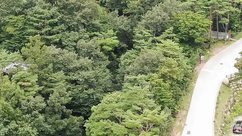 지리산 구재봉 자락 숲과 계곡이 어우러진 휴양림 전경