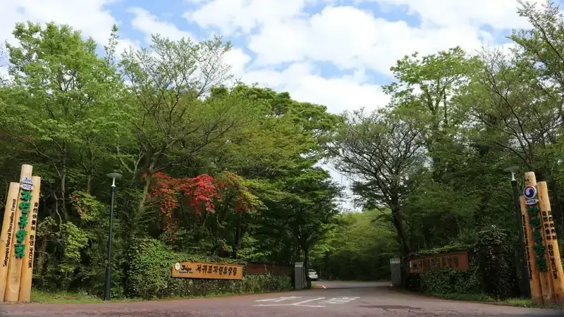 한라산 해발 700m 청정 천연림 서귀포자연휴양림 전경