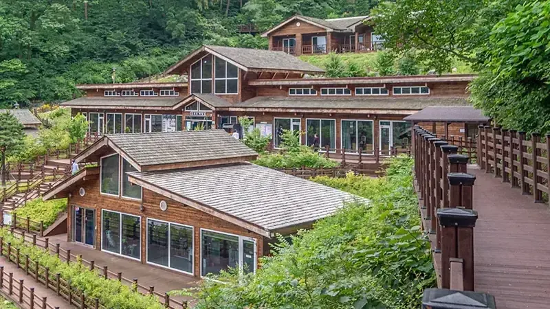 강릉 국립대관령치유의숲