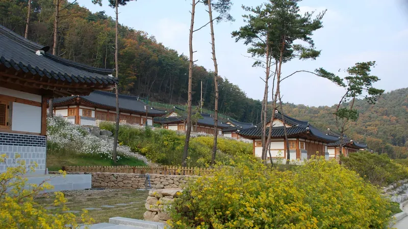 속리산숲체험휴양마을