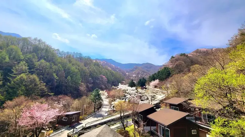 지리산 백무동 계곡 인근 국립지리산자연휴양림 전경