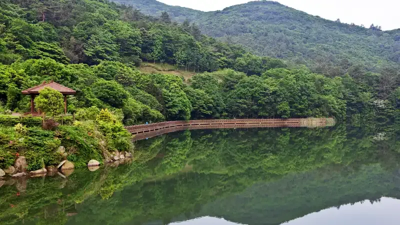 완도수목원 국내 유일 난대림 수목원 상록활엽수림 전경