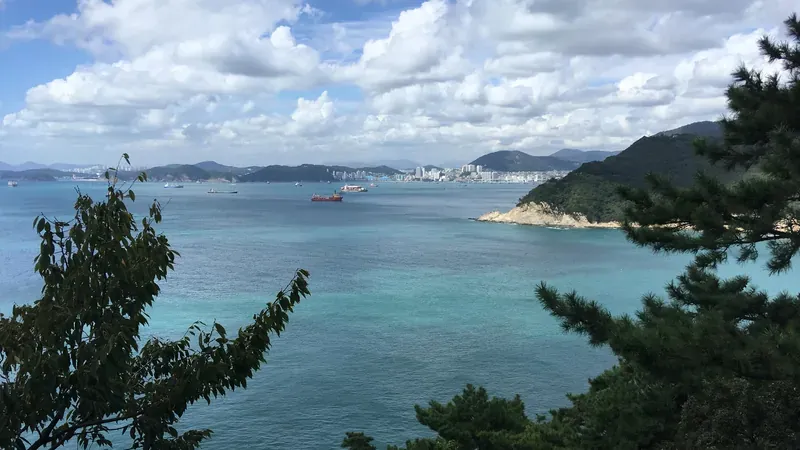 부산 영도 태종대 (다누비열차 순환투어)