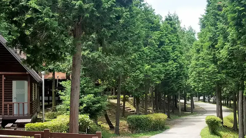 한려해상 바다와 울창한 편백림을 품은 남해편백자연휴양림 전경