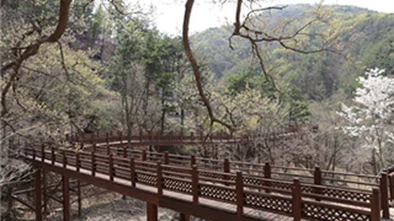 국립예산치유의숲 전역 시설 배치도 및 둘레길 안내도