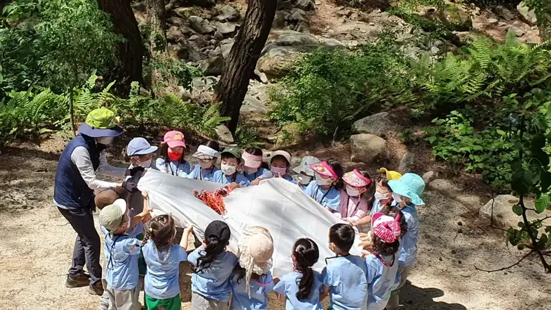숲해설가와 함께 식물과 곤충을 관찰하는 어린이 숲체험 프로그램