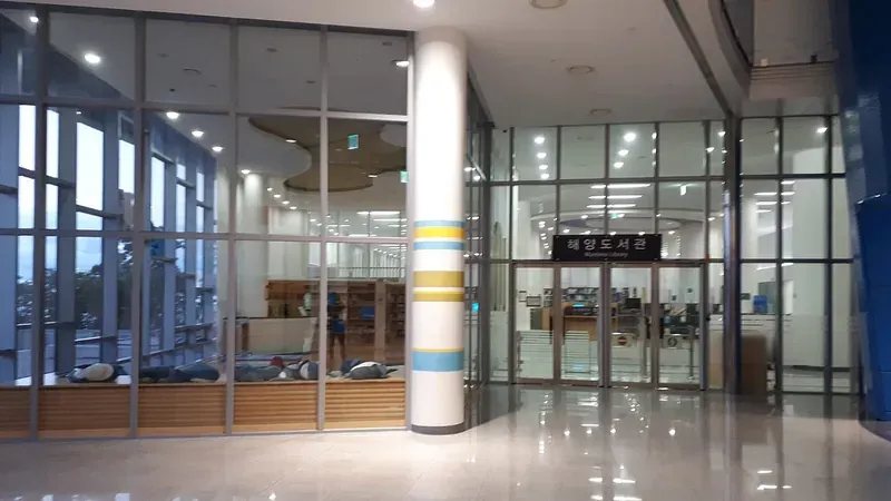 통유리 오션뷰를 감상하며 어린이 해양동화를 읽는 해양도서관